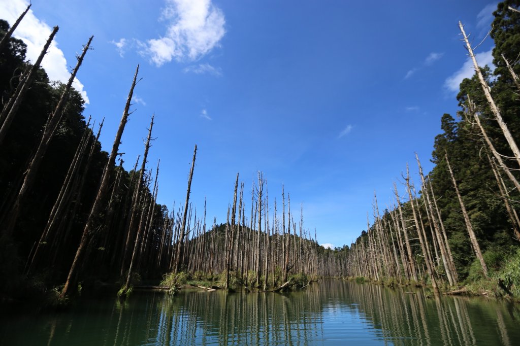 水樣森林 第一次在山裡過夜_659411