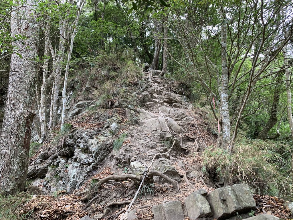 【中級山】明知山沒虎，偏向虎山行_2441952