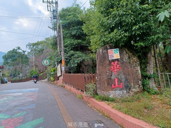 【雲林古坑】 翠綠茶園太迷人走到廢腿也甘心_雲嘉五連峰縱走_2437407