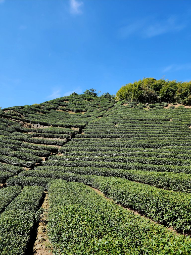 小百岳集起來-梨子腳山_2182938