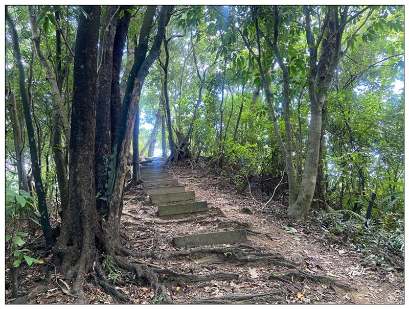 金龍湖、鷹石尖、老鷲尖、內溝山 O型一圈_2966634