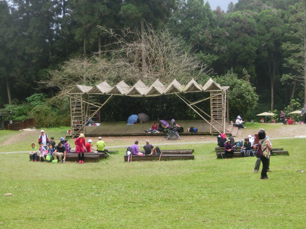 溪頭銀杏神木彩虹橋_459490