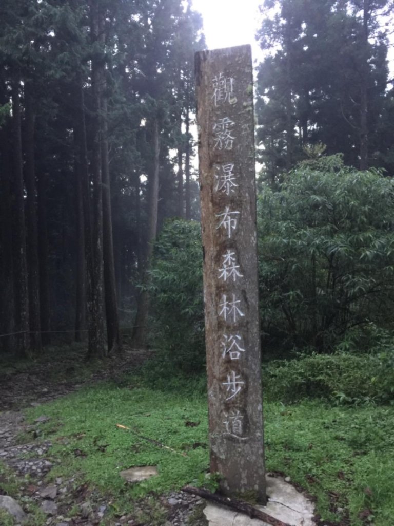 榛山步道_654665