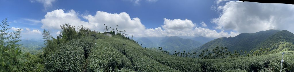 220820-挑筍古道(後棟仔山、小百岳#056雲嘉大尖山)_1834553