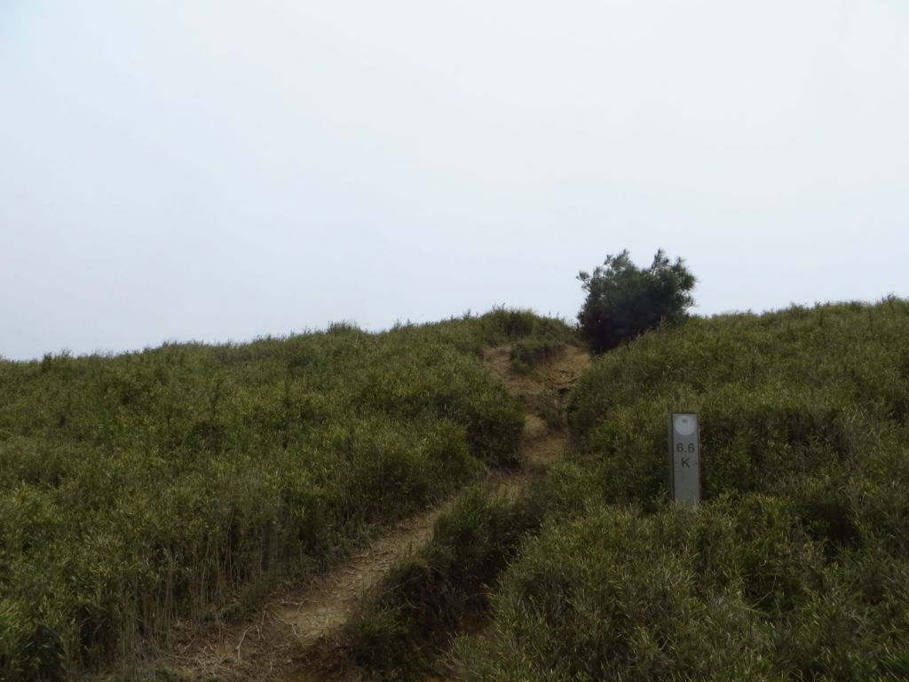 合歡西北峰(夏季北峰與母親節期西北峰)_126796