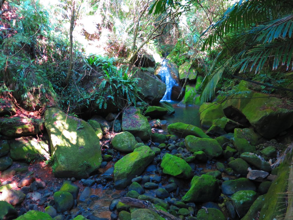 龍年首登的好選擇，鯉躍龍門，搭捷運來內湖爬三尖，鯉魚山、忠勇山、圓覺尖_2426475