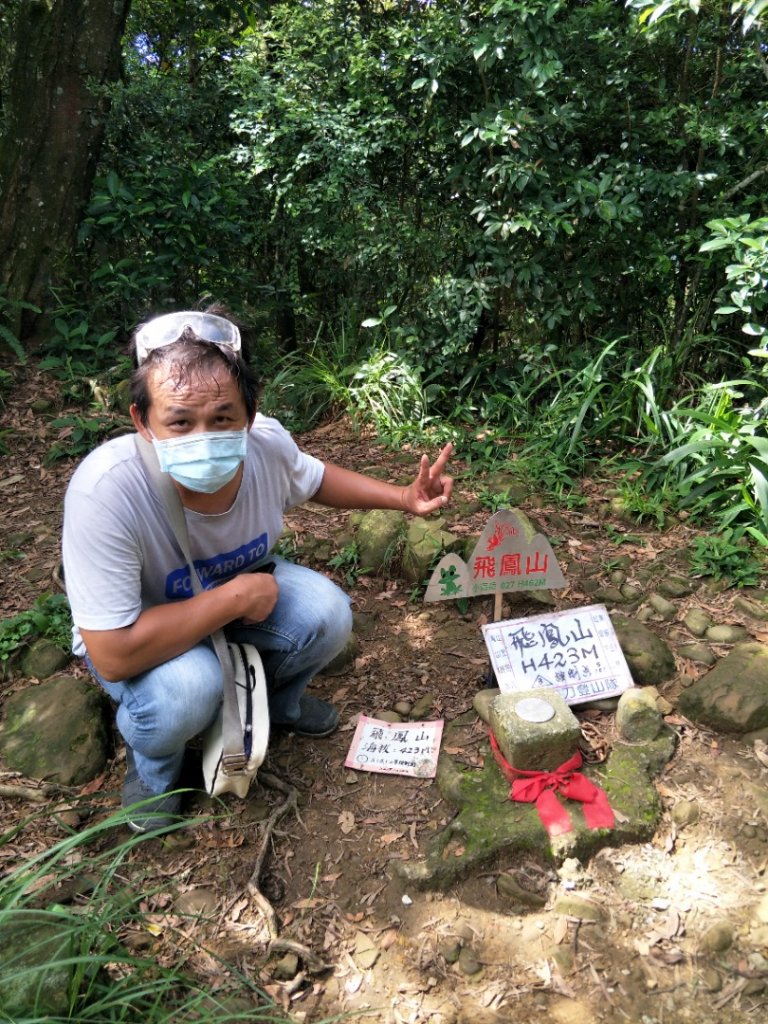 小百岳:飛鳳山&中坑山封面圖