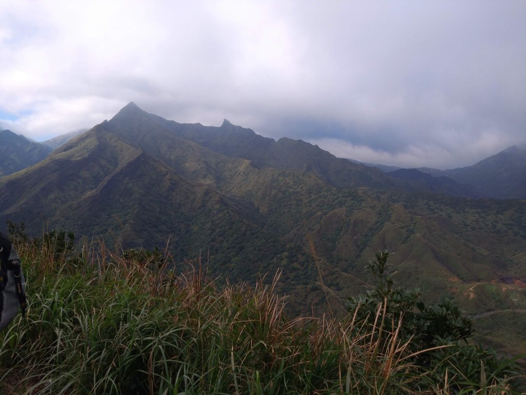 黃金七八稜_2433778