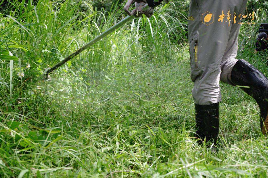 樟之細路 | 09/21砍草任務_686430