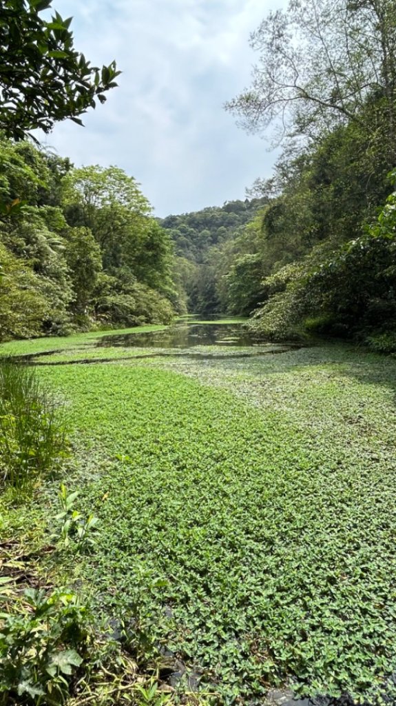 員山冷埤古道太陽埤山封面圖