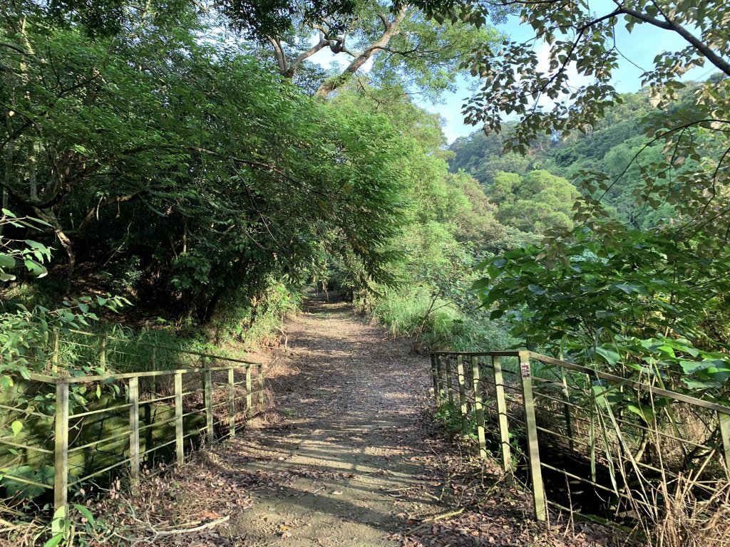 橫山步道（小百岳）_2244593