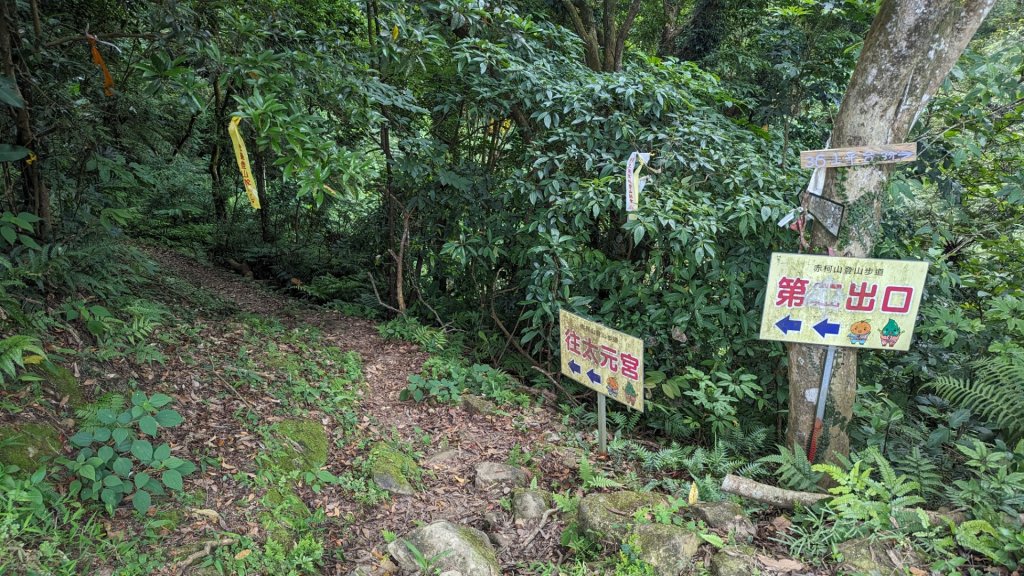 赤柯山 東獅頭山_2501631