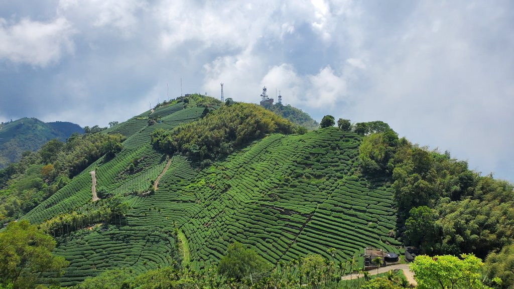 雲嘉大尖山 梨子腳山_1727401
