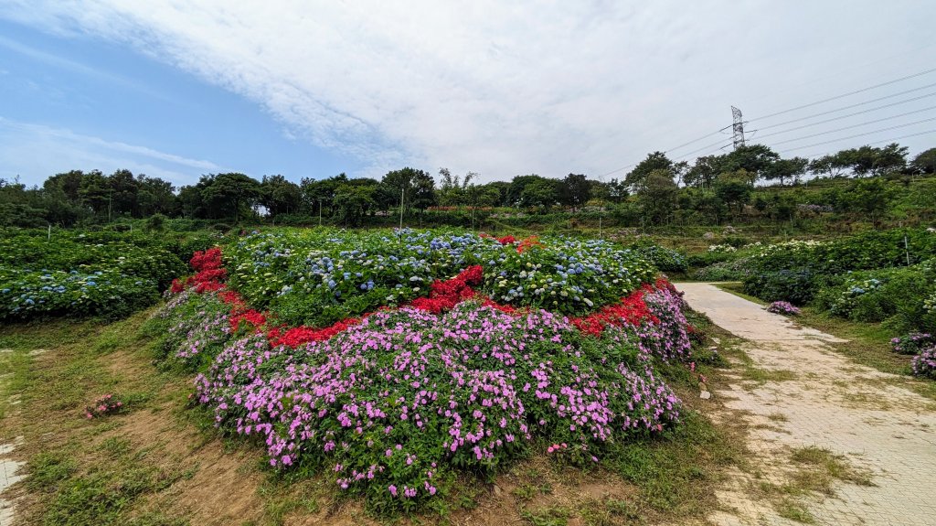 萬里高家繡球花園_2497726