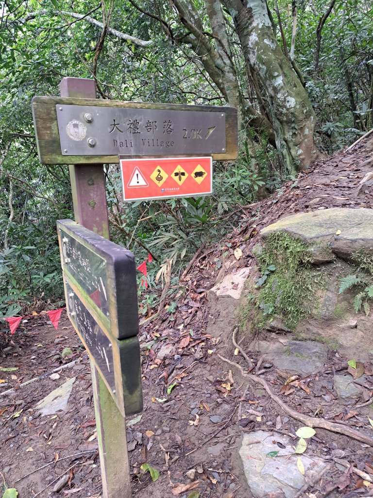 砂卡礑二日行D1：得卡倫步道→大禮部落→砂卡礑林道→立霧山→大同部落20231202_2368229