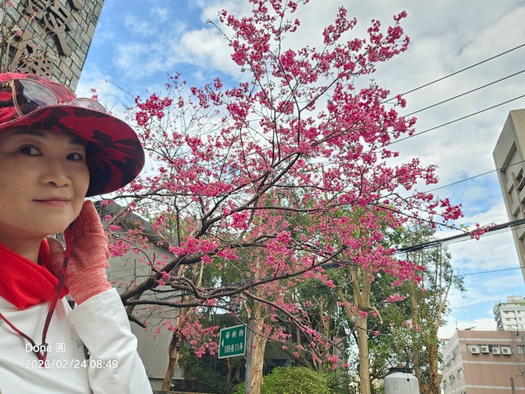 圓通寺烘爐地登山步道大O走_3006967