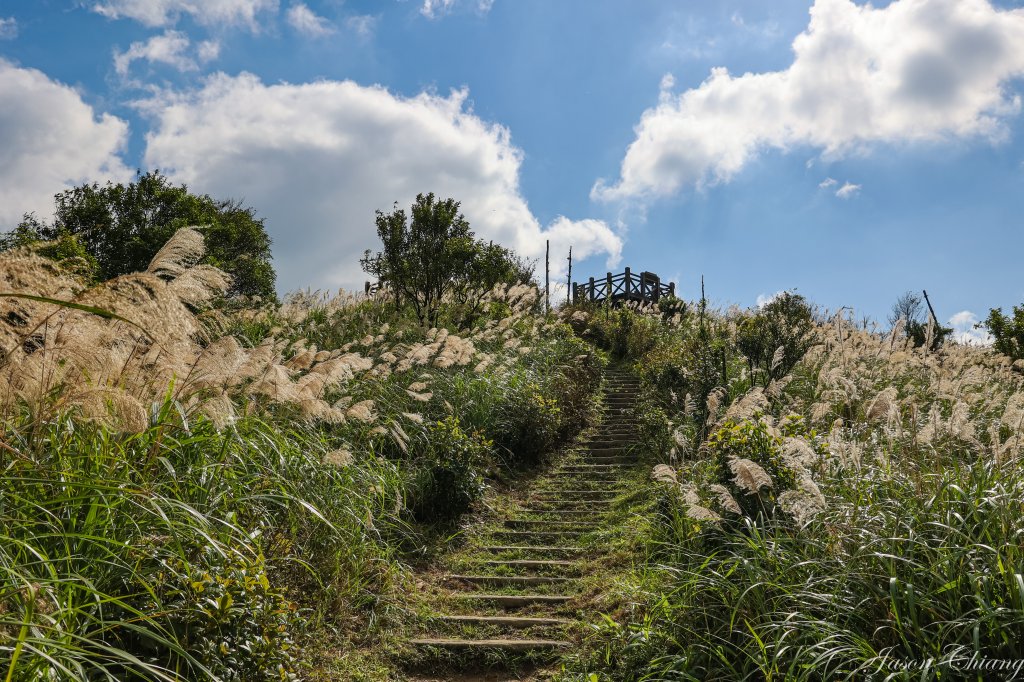 [台北天際線]姜子寮絕壁、姜子寮山、旗尾崙山_1966563