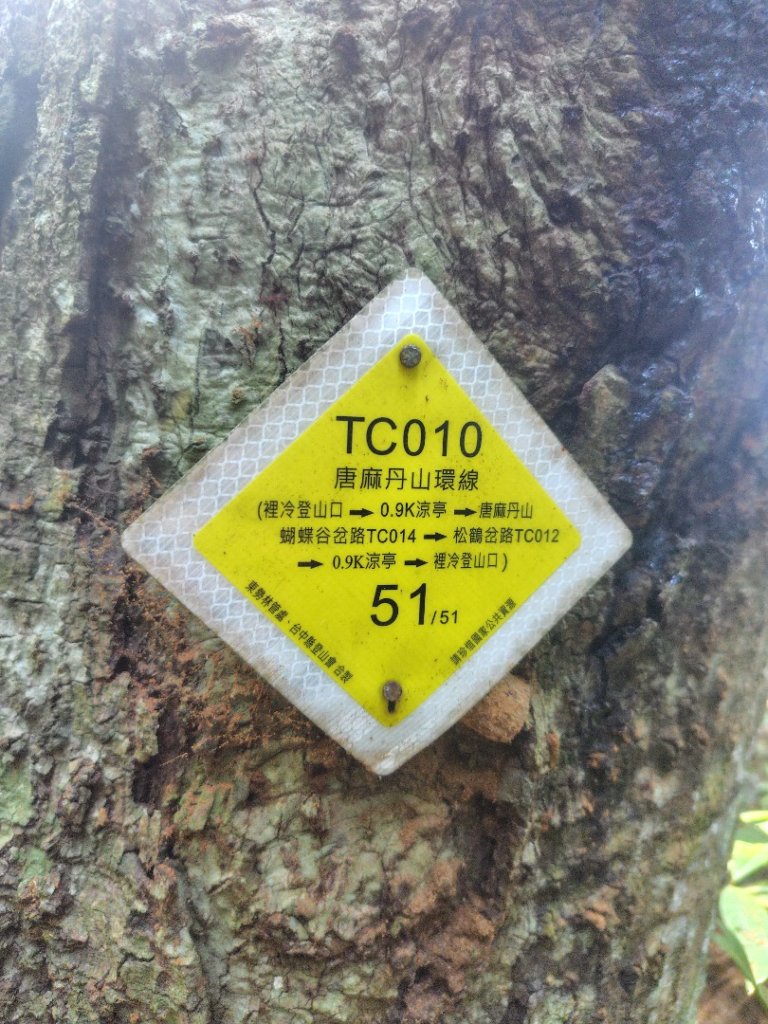 唐麻丹山 蝴蝶谷_2918996