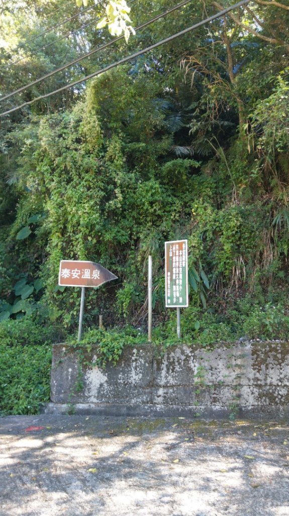 水雲三星之鳳（鳥嘴山）上島山_1217419