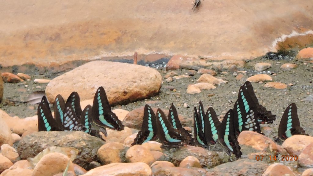 就是喜歡這個藍天白雲的FU_1032922