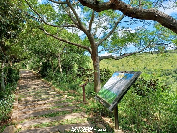 【台中龍井】老少咸宜步道悠閒走。 竹坑南寮登山步道封面圖