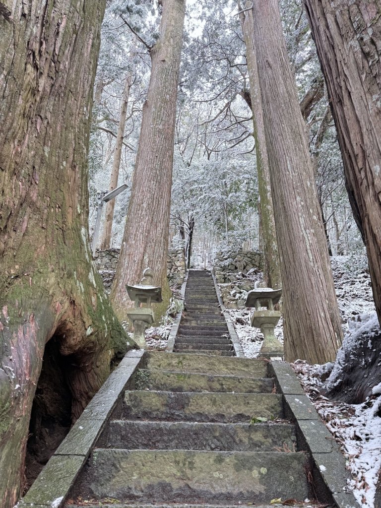 熊野古道中邊路D4 繼櫻王子—熊野本宮大社(大雪所賜改泡湯行程) 2025.3.19_2746906