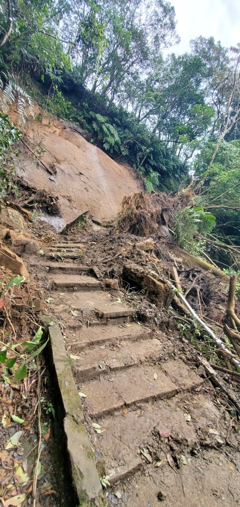 2024-11-23臺北大縱走第六段：中華科技大學至捷運麟光站_2653482