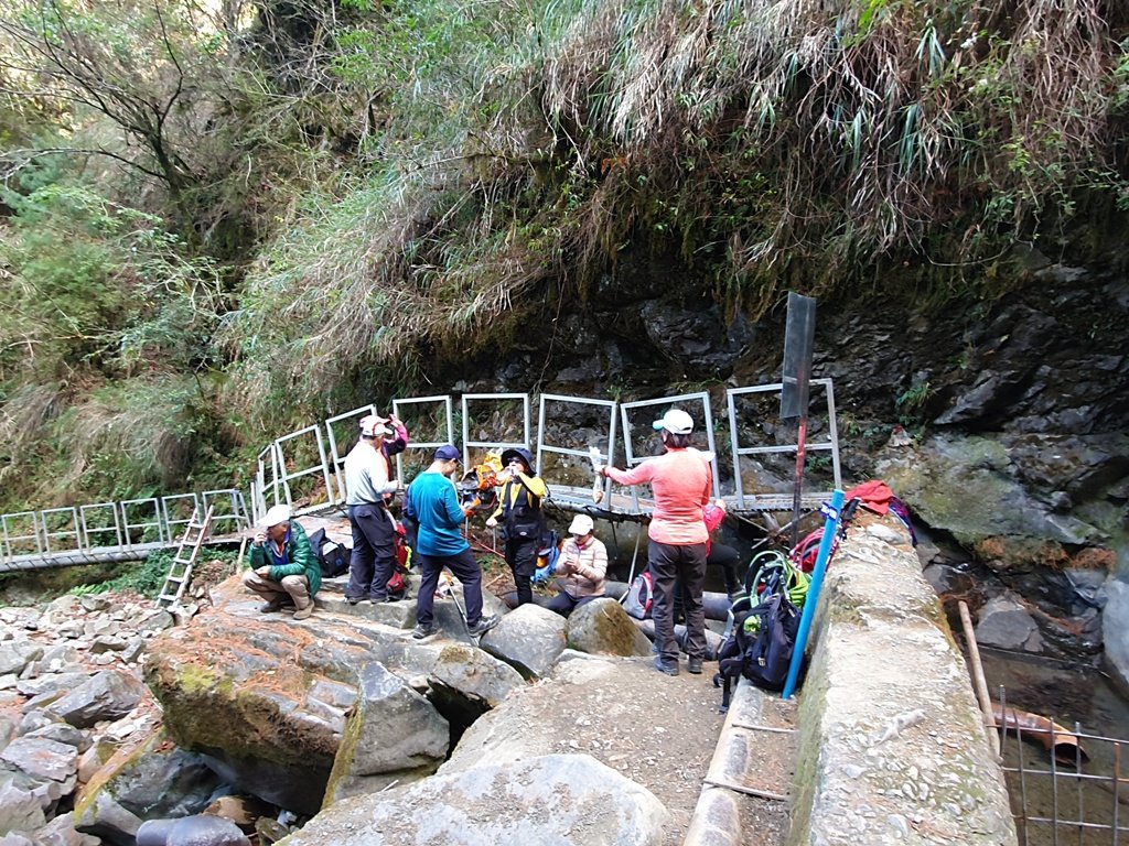 【阿里山】石山引水道_1585611