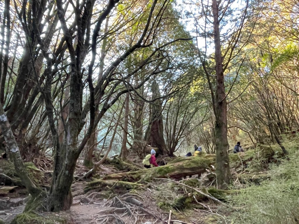 一日南橫二星人品爆發_2995766