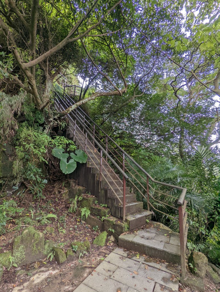 四獸山步道：虎山、豹山、獅山、象山_1618635