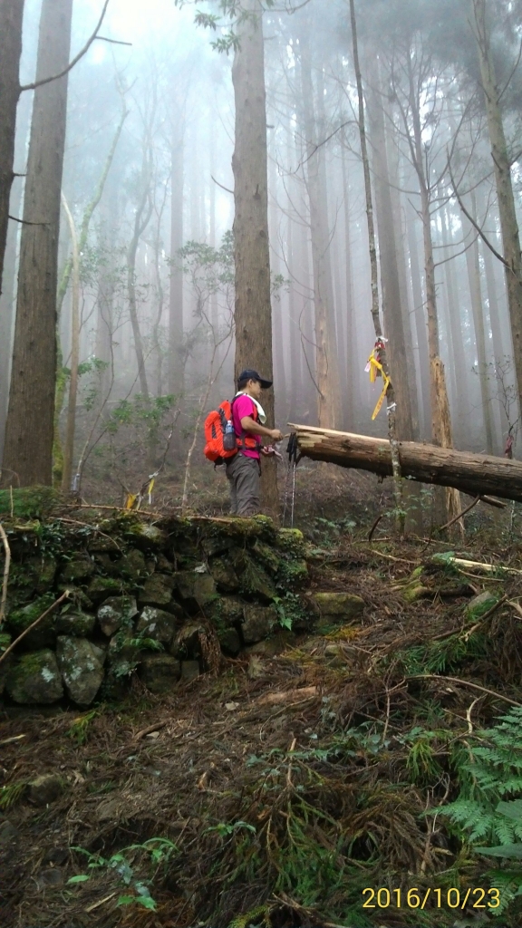20161023新竹大混山,李棟山縱走_74548