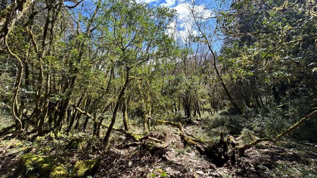大同舊太平山神社給給池日向台_2748222