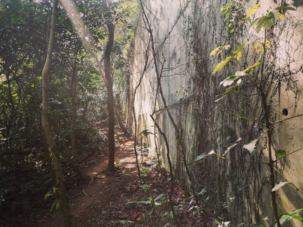 我從福人步道走去大北坑吃好料_818605