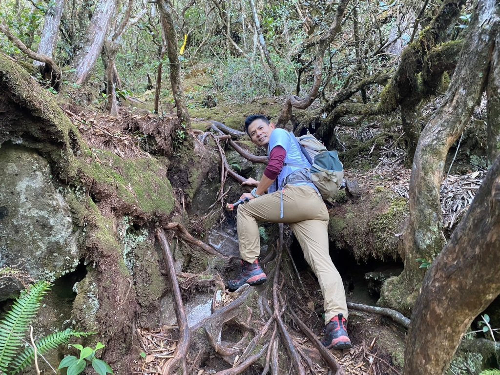 長壽山-醜崠山-鳶嘴山【既優雅又狂野的另類選擇】_2673956