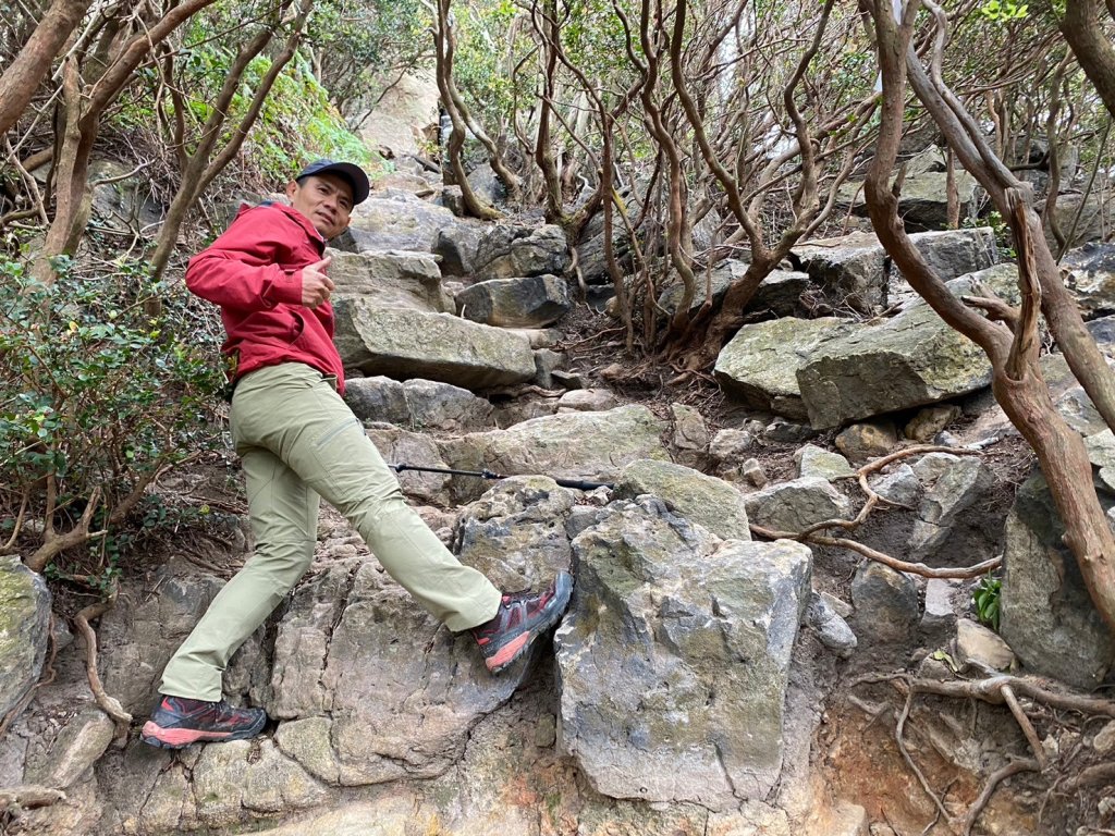 硫磺谷.龍鳳谷.大砲岩.石壇山【大巨蛋 跳起來 可以嗎?】_2686330