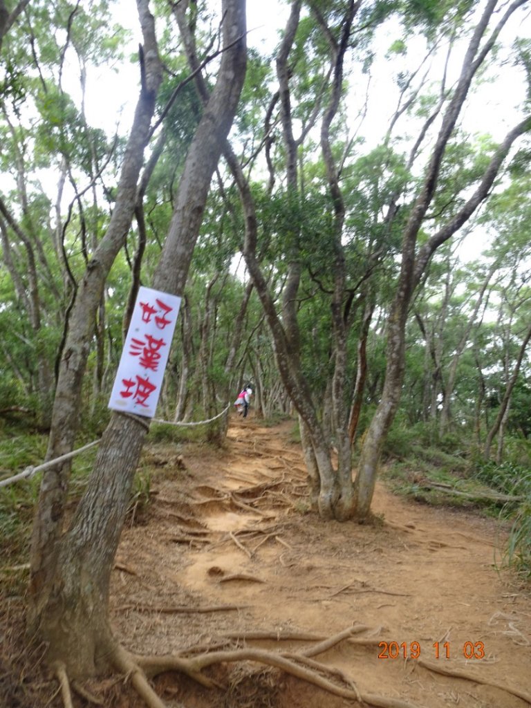 火炎山步道_789740