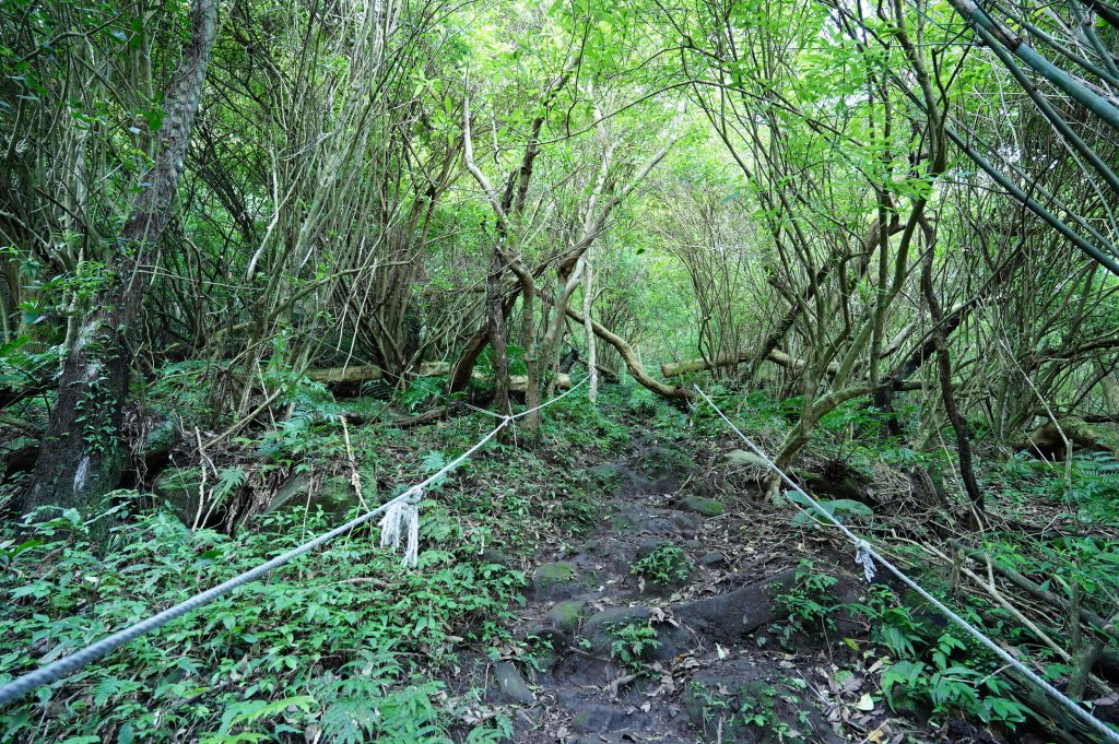 新北 八里 觀音山、牛港稜山_2681334