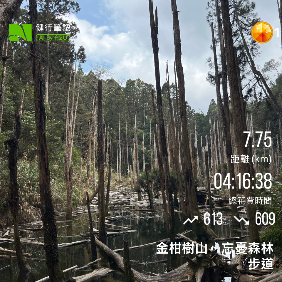 小百岳-金柑樹山封面圖