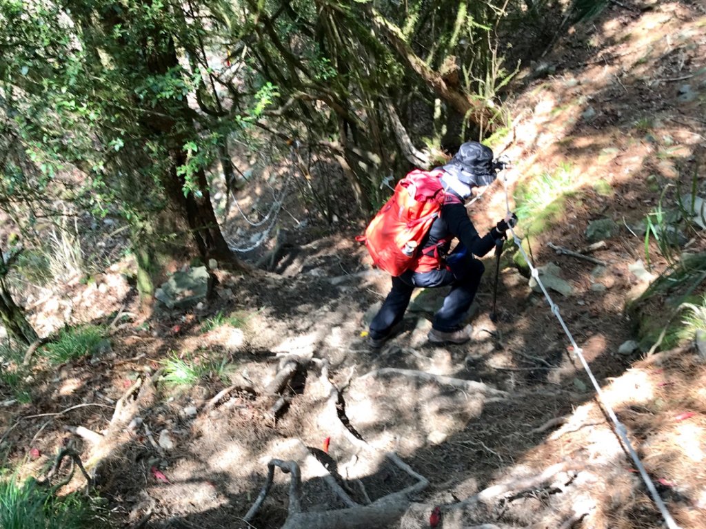 石山 石山引水道_551405