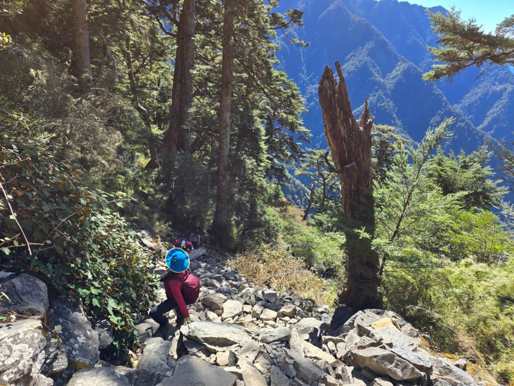 玉山前峰_2663187