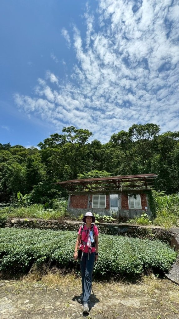 南勢坑山、鑽石峰、人面頭山、獅公髻尾山O走_2809806