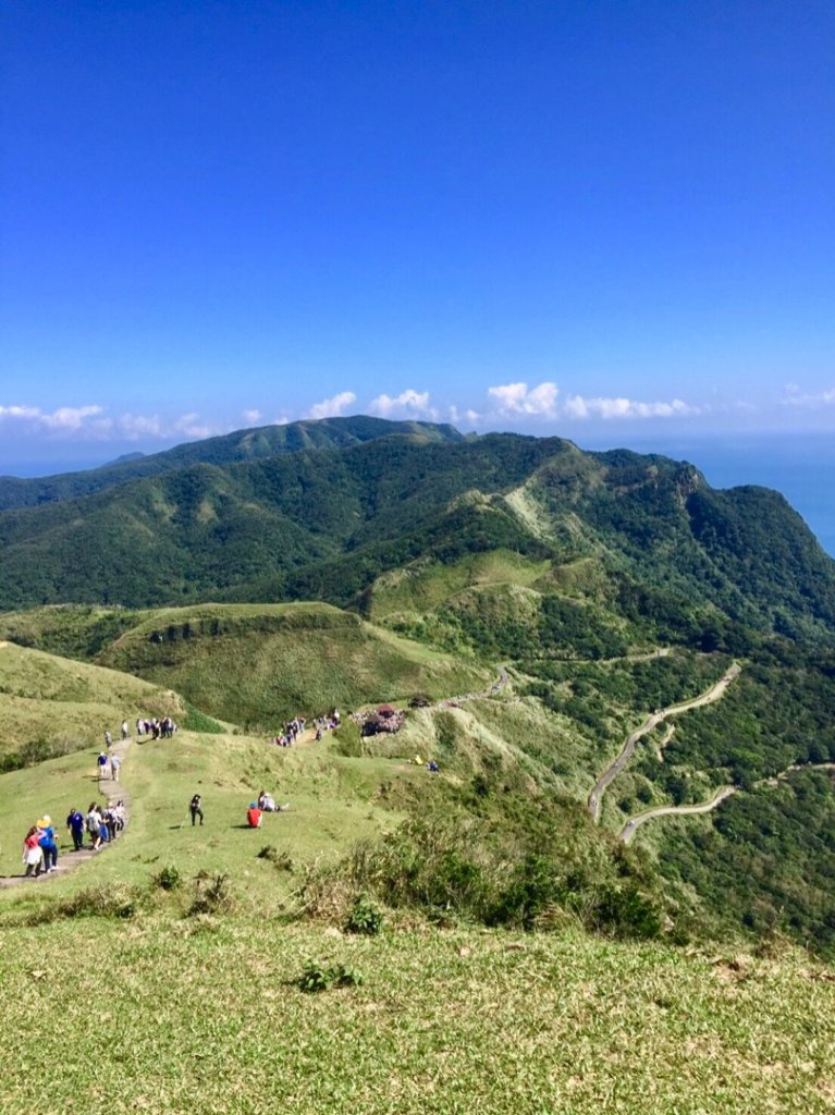 2018-11-11宜蘭草嶺古道芒花_468371
