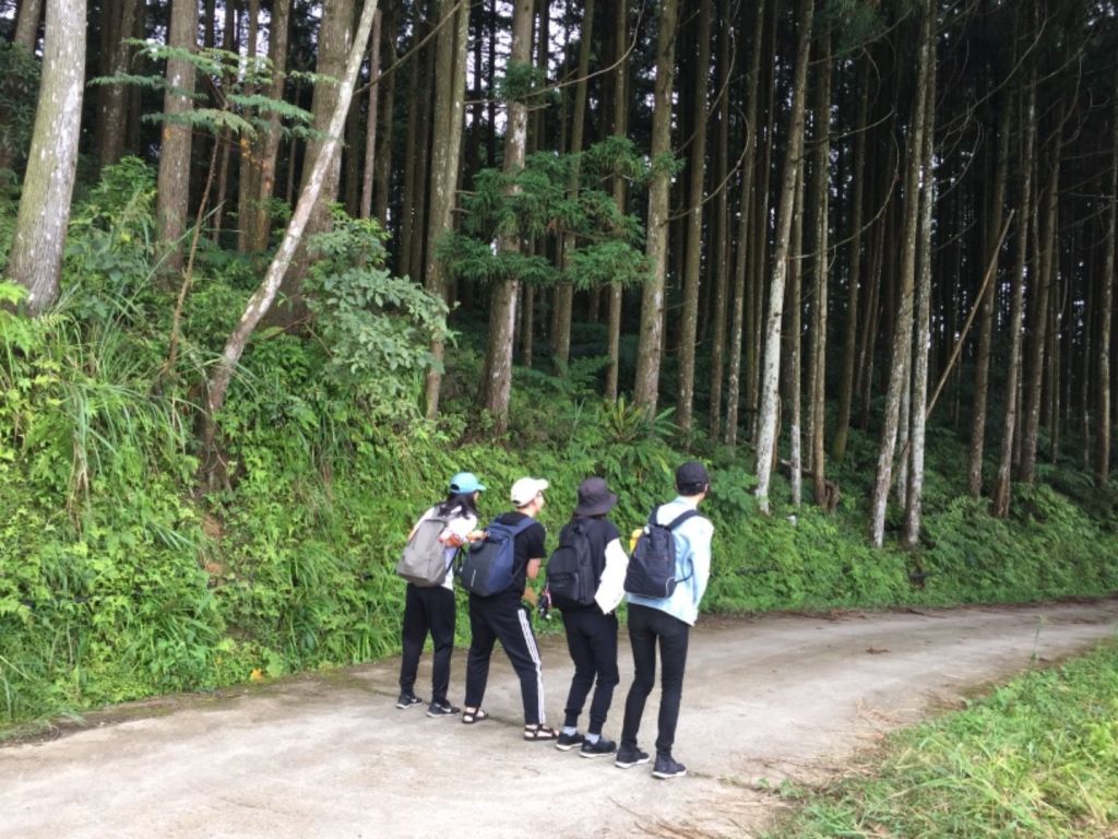 在天氣還是好的時候（油羅山）_380970