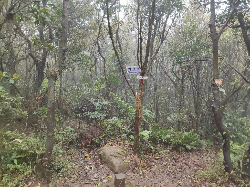 臺北大縱走第四段：風櫃口至中華科技大學_2730563