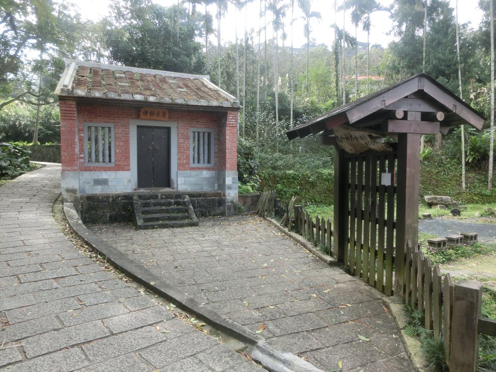 樟樹步道．健康步道_520137