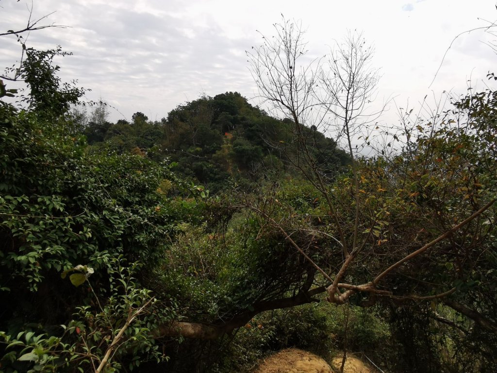 台南、高雄必訪步道：虎形山公園、大崗山、旗靈縱走、觀音山、半屏山、柴山 - 2022/2/13_1673546