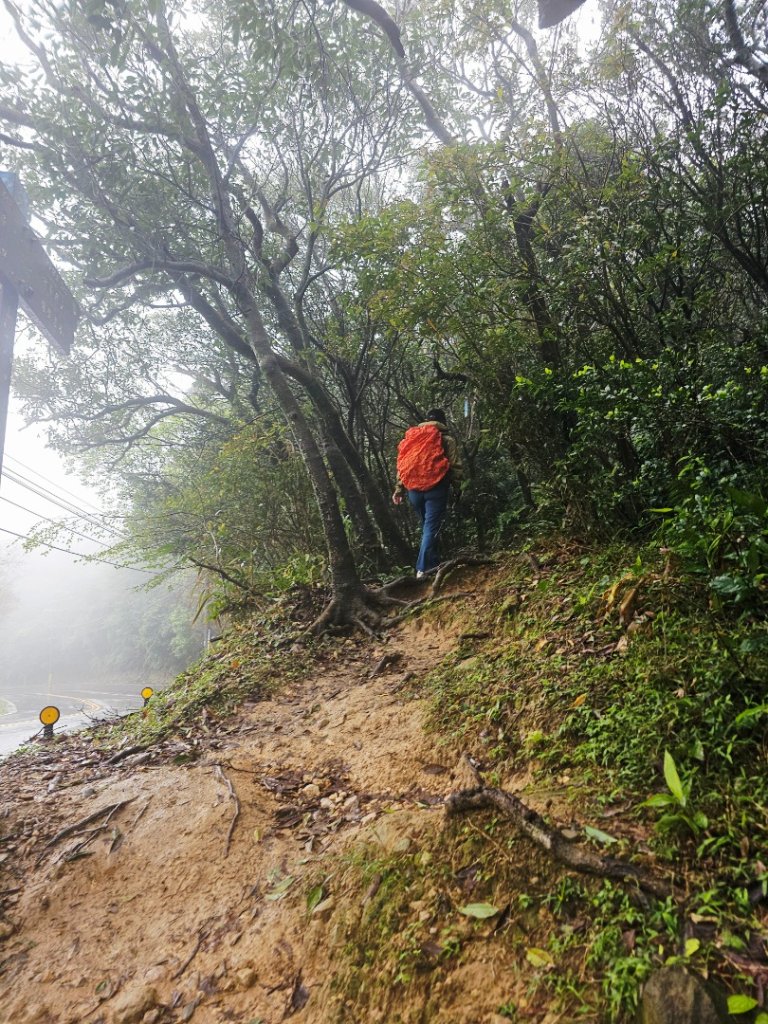2025臺北大縱走第四段：風櫃口至中華科技大學_2973490