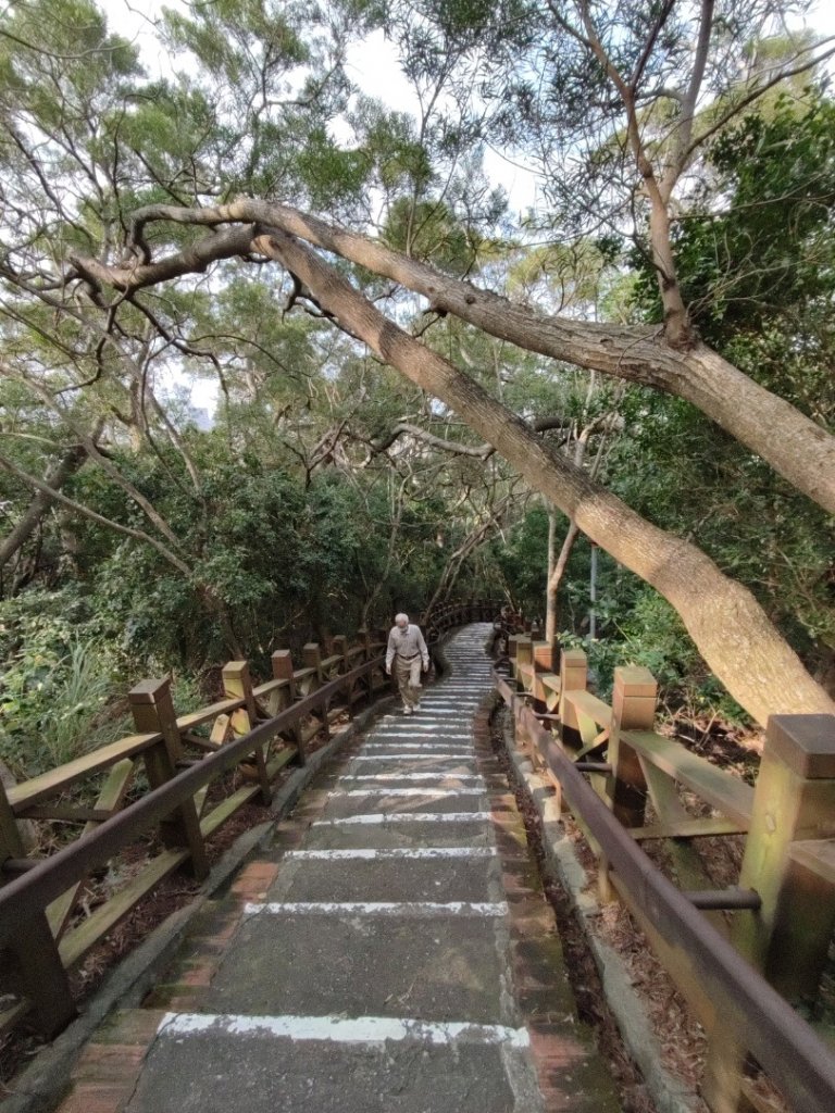 新竹十八尖山_1617571