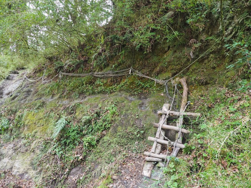 [百岳]屏風山野營歲月_853273