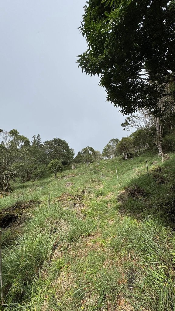 20250913小百岳三星山_2885220